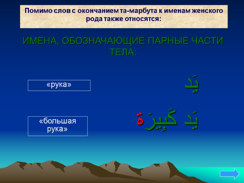 Помимо слов с окончанием та-марбута к именам женского рода также относятся: يَد  يَد